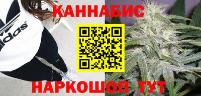 спиды Заводоуковск