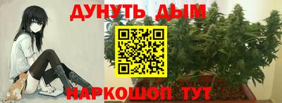 спиды Заводоуковск