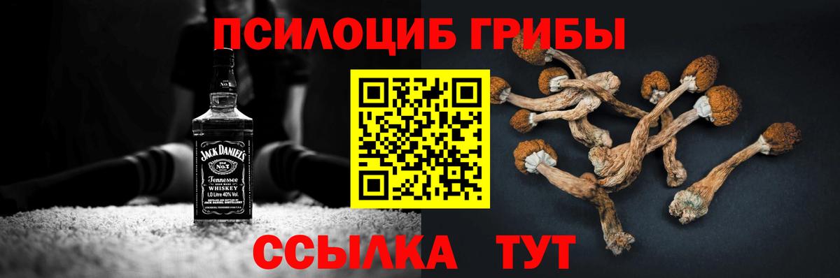 Галлюциногенные грибы мицелий Михайловск